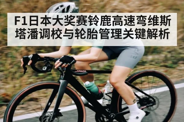 F1日本大奖赛铃鹿高速弯维斯塔潘调校与轮胎管理关键解析
